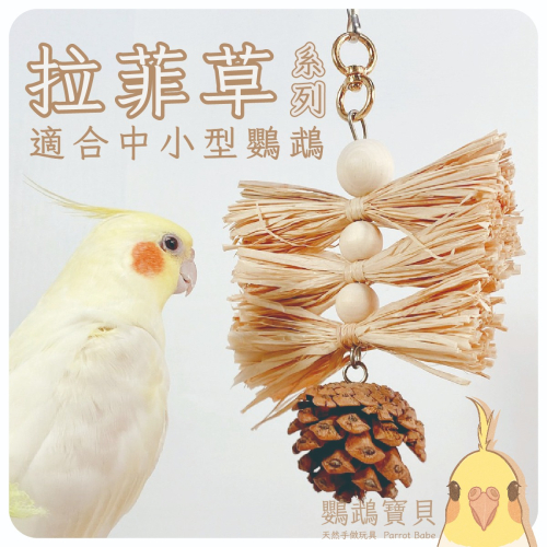 鸚鵡玩具 台灣製 拉菲草啃咬 鸚鵡用品 松塔玩具 虎皮 和尚 小鸚 玄鳳 吸蜜 凱克