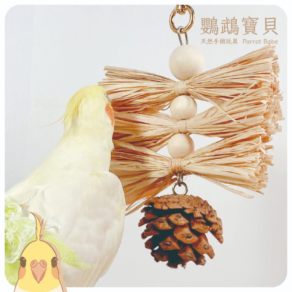 鸚鵡玩具 台灣製 拉菲草啃咬 鸚鵡用品 松塔玩具 虎皮 和尚 小鸚 玄鳳 吸蜜 凱克-細節圖2