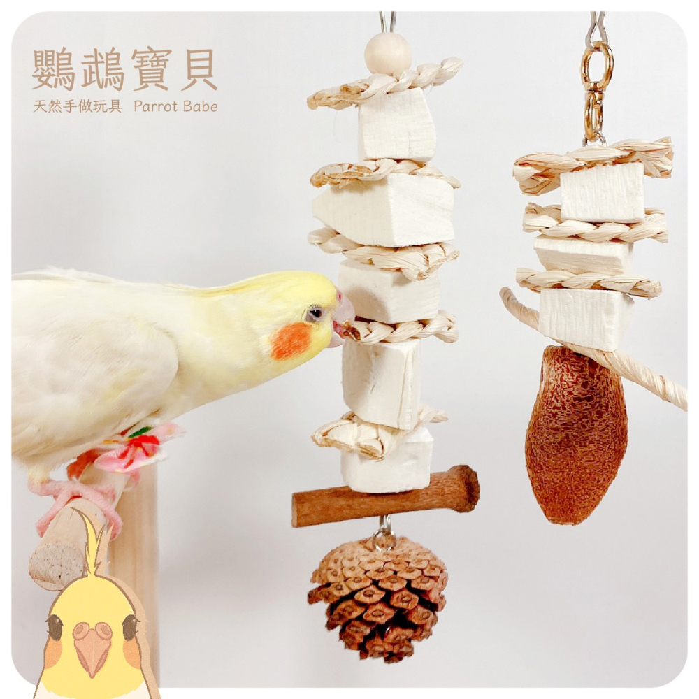 鸚鵡玩具 台灣製 墨魚骨 天然啃咬玩具 鳥用品 鳥玩具 鸚鵡啃咬串 橫斑 虎皮 小鸚 玄鳳 凱克 和尚 太陽 灰鸚-細節圖3