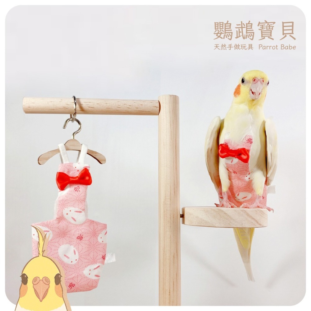 鸚鵡尿布衣🐦出貨快 台灣現貨 鸚鵡尿布衣 鸚鵡包屁衣 鸚鵡飛行服 鸚鵡用品 鳥衣服 外出衣 尿布兜 虎皮 和尚 玄鳳-細節圖2