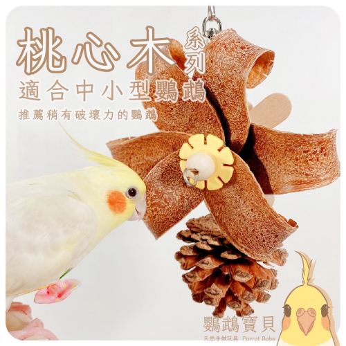 鸚鵡玩具 台灣製 原木風玩具 鳥玩具 鸚鵡用品 天然果木玩具 創意玩具 和尚 凱克 月輪 金太陽 適合中小型鸚鵡 小寵