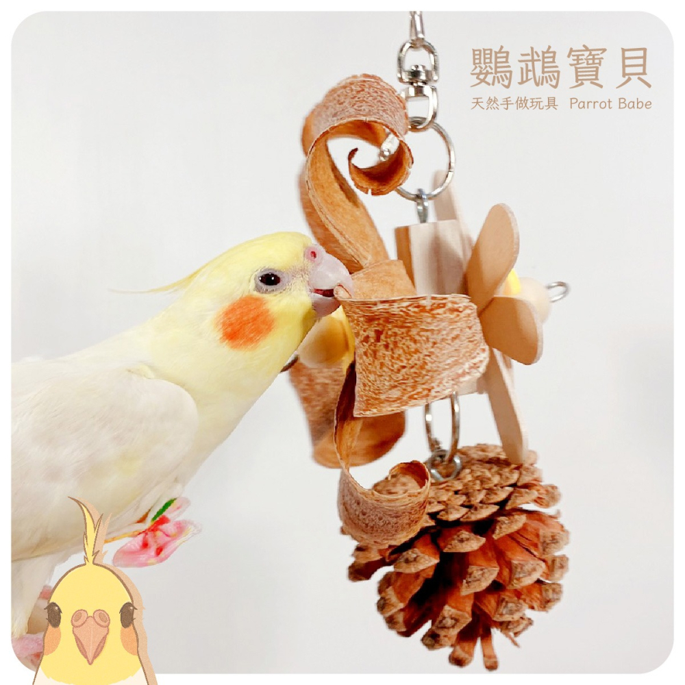 鸚鵡玩具 台灣製 原木風玩具 鳥玩具 鸚鵡用品 天然果木玩具 創意玩具 和尚 凱克 月輪 金太陽 適合中小型鸚鵡 小寵-細節圖2