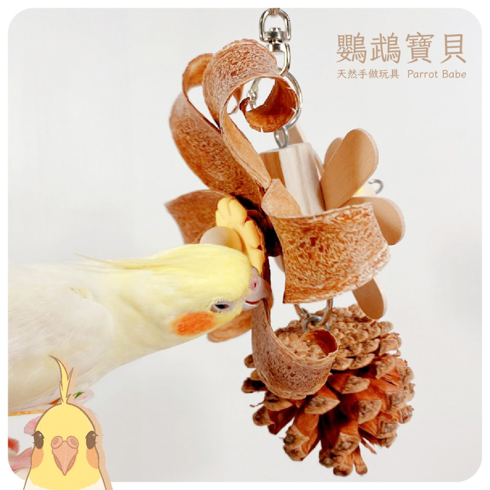 鸚鵡玩具 台灣製 原木風玩具 鳥玩具 鸚鵡用品 天然果木玩具 創意玩具 和尚 凱克 月輪 金太陽 適合中小型鸚鵡 小寵-細節圖3