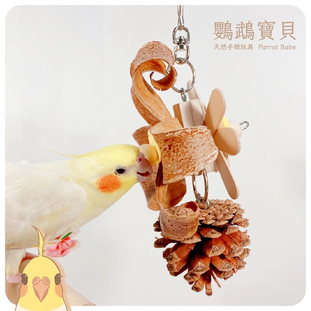 鸚鵡玩具 台灣製 原木風玩具 鳥玩具 鸚鵡用品 天然果木玩具 創意玩具 和尚 凱克 月輪 金太陽 適合中小型鸚鵡 小寵-細節圖4