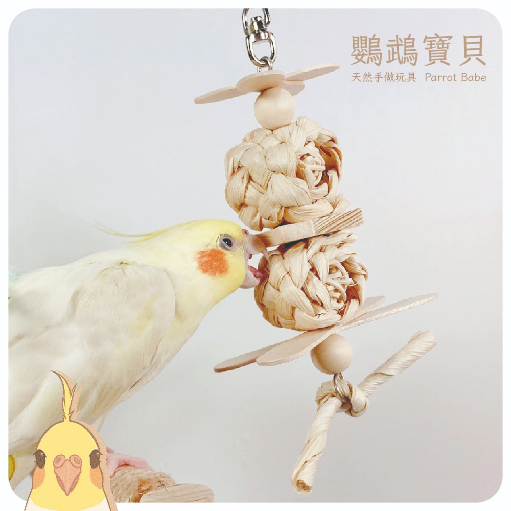 鸚鵡玩具 台灣製 天然啃咬玩具 鸚鵡用品 鳥玩具 鸚鵡啃咬串 橫斑 虎皮 小鸚 太平洋 玄鳳 小凱克 小和尚-細節圖2