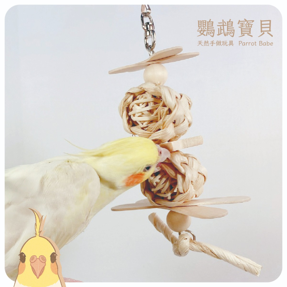 鸚鵡玩具 台灣製 天然啃咬玩具 鸚鵡用品 鳥玩具 鸚鵡啃咬串 橫斑 虎皮 小鸚 太平洋 玄鳳 小凱克 小和尚-細節圖3