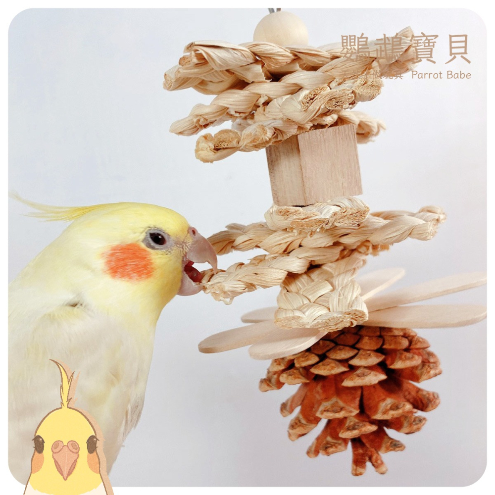 鸚鵡玩具 鳥玩具 當天寄出 台灣製 鸚鵡用品 鸚鵡啃咬串 原木玩具 輕木玩具 天然啃咬玩具 虎皮 小鸚 太平洋 玄鳳-細節圖2