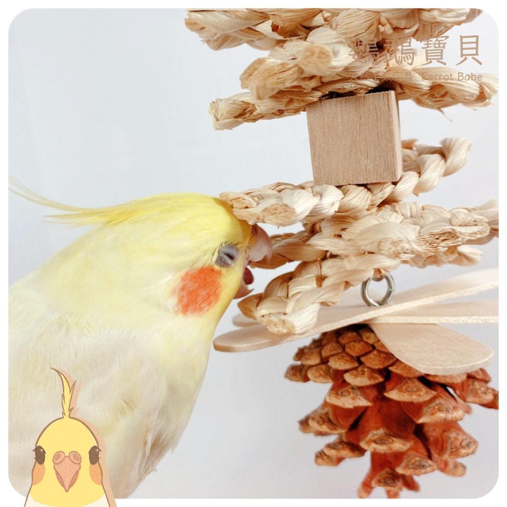 鸚鵡玩具 鳥玩具 當天寄出 台灣製 鸚鵡用品 鸚鵡啃咬串 原木玩具 輕木玩具 天然啃咬玩具 虎皮 小鸚 太平洋 玄鳳-細節圖3