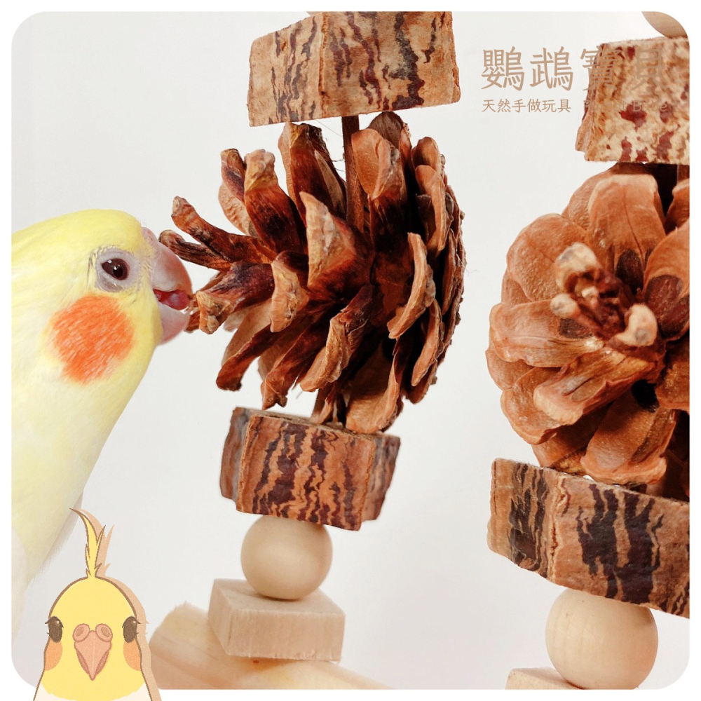 鸚鵡啃咬串 台灣製 原木串 松塔玩具 鳥玩具 果實玩具 鸚鵡用品 鞦韆玩具 玄鳳 凱克 折衷 灰鸚鵡 和尚鸚鵡-細節圖3