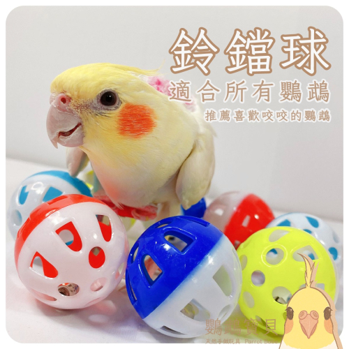鈴鐺球 寵物玩具球 寵物玩具 寵物球 鸚鵡 玩具 和尚 小太陽 玄鳳 凱克 牡丹 金太陽 小鸚 貓 鳥 塑膠球