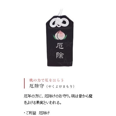 xn日貨【多款現貨】日本晴明神社御守 向上守 交通安全守 鈴守 厄除守 勝守 安產御守.健康守/心願成就/水鏡御守)-細節圖6