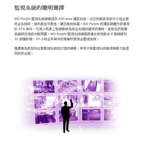 Z【無名】加購 WD Toshiba 紫標 監視器硬碟 監控專用 3T 3TB 3.5吋 SATA NVR DVR-細節圖9