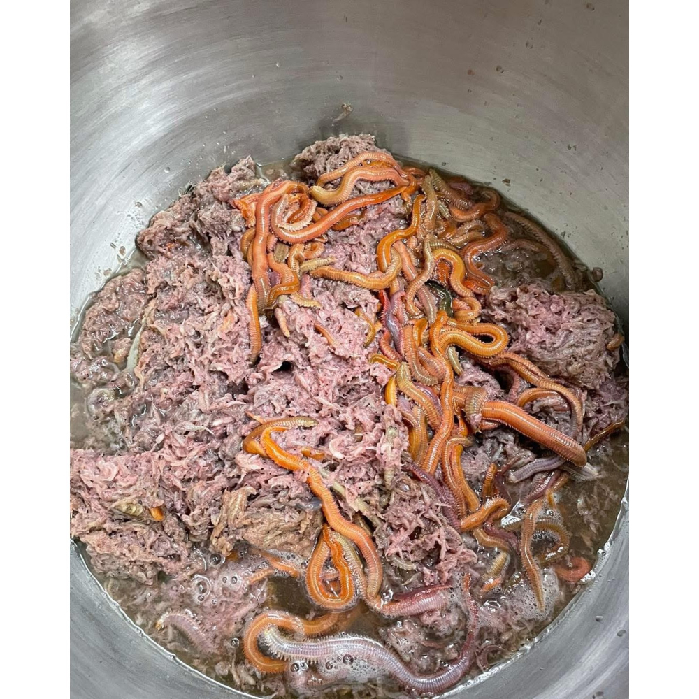 鑫牌 糠蝦練餌 釣魚餌 練餌 冷凍練餌-細節圖3