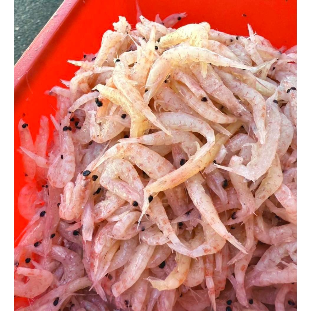 鑫牌 2L南極蝦磚 蝦磚 南極蝦 海釣 磯釣 釣餌-細節圖2