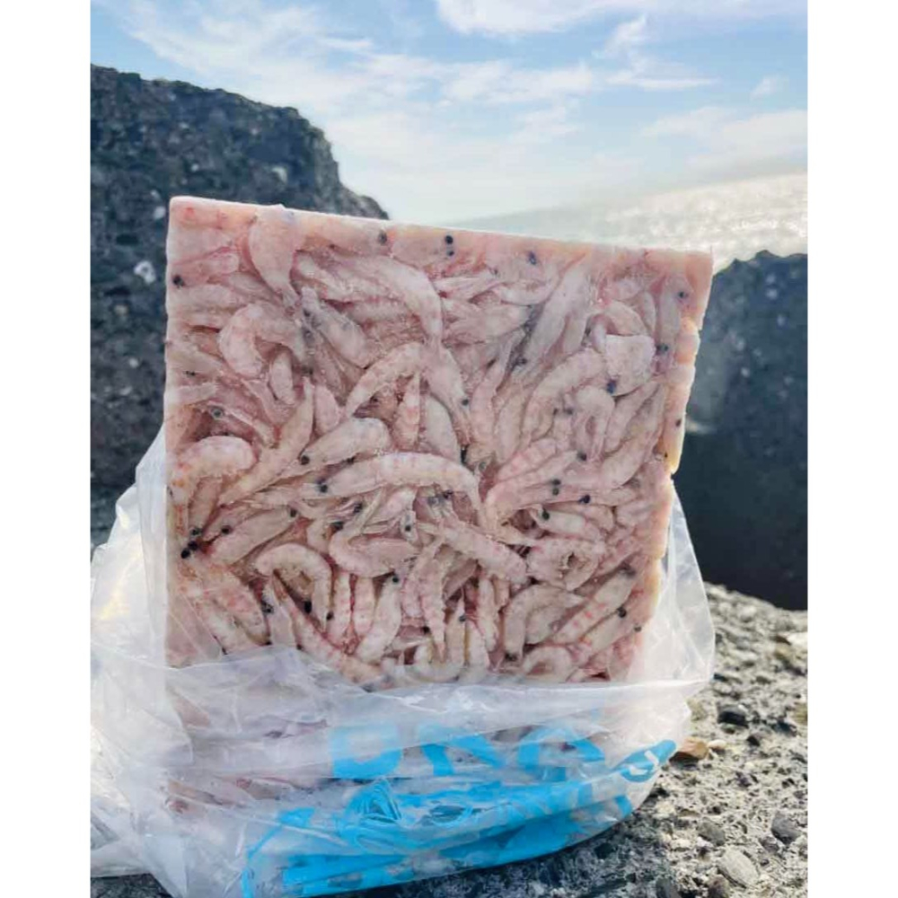 鑫牌 2L南極蝦磚 蝦磚 南極蝦 海釣 磯釣 釣餌-細節圖3