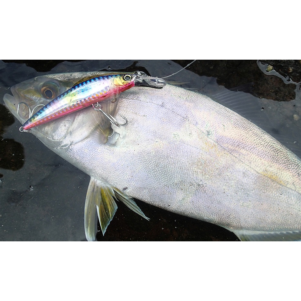 HARDCORE 路亞 F1190 110mm 37g 咪諾 假餌-細節圖2