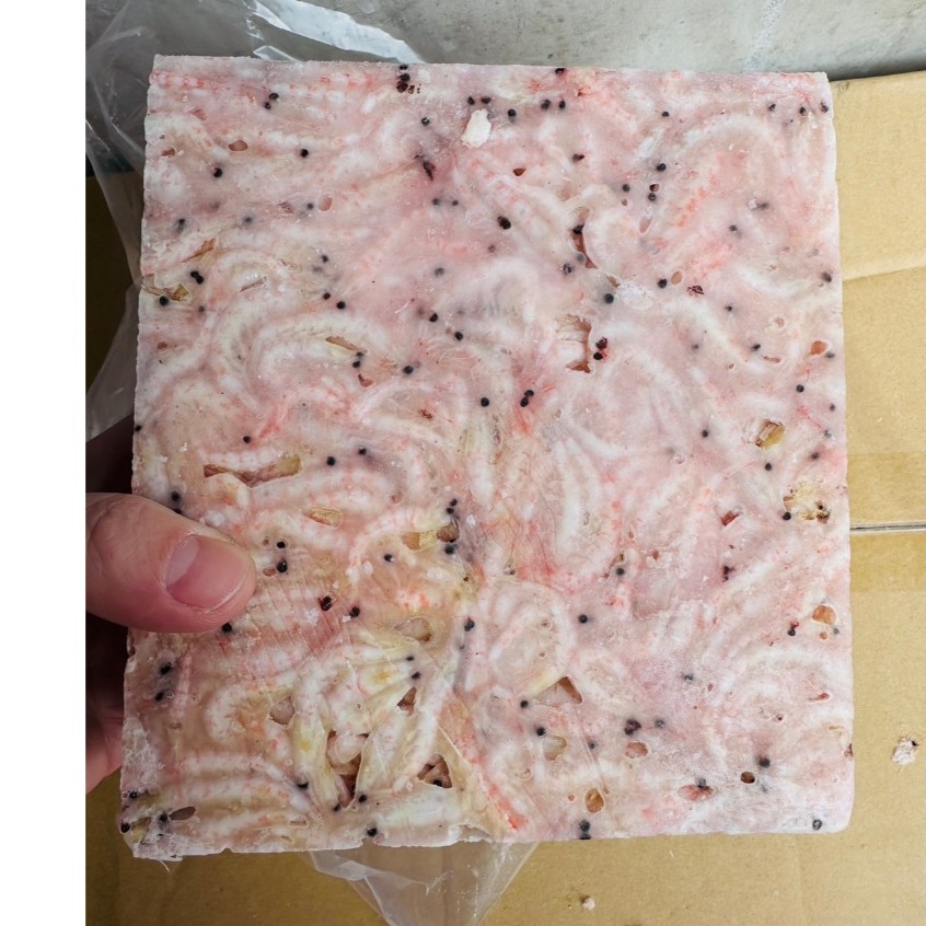 誘餌專用南極蝦磚 不是NG蝦 蝦磚 南極蝦 誘餌 蝦磚-細節圖2