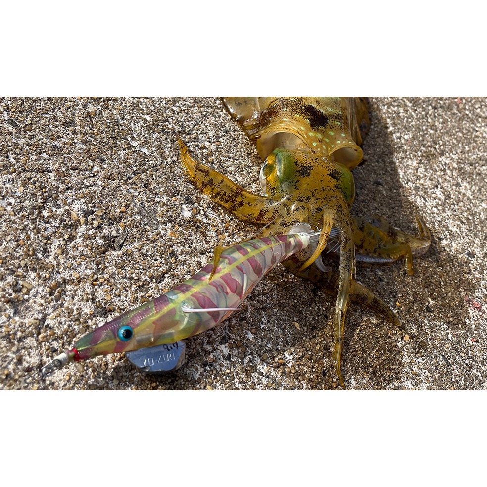 YO-ZURI EGI AURIE-Q®3D A1792 木蝦 4吋 岸拋假餌 軟絲 花枝-細節圖4