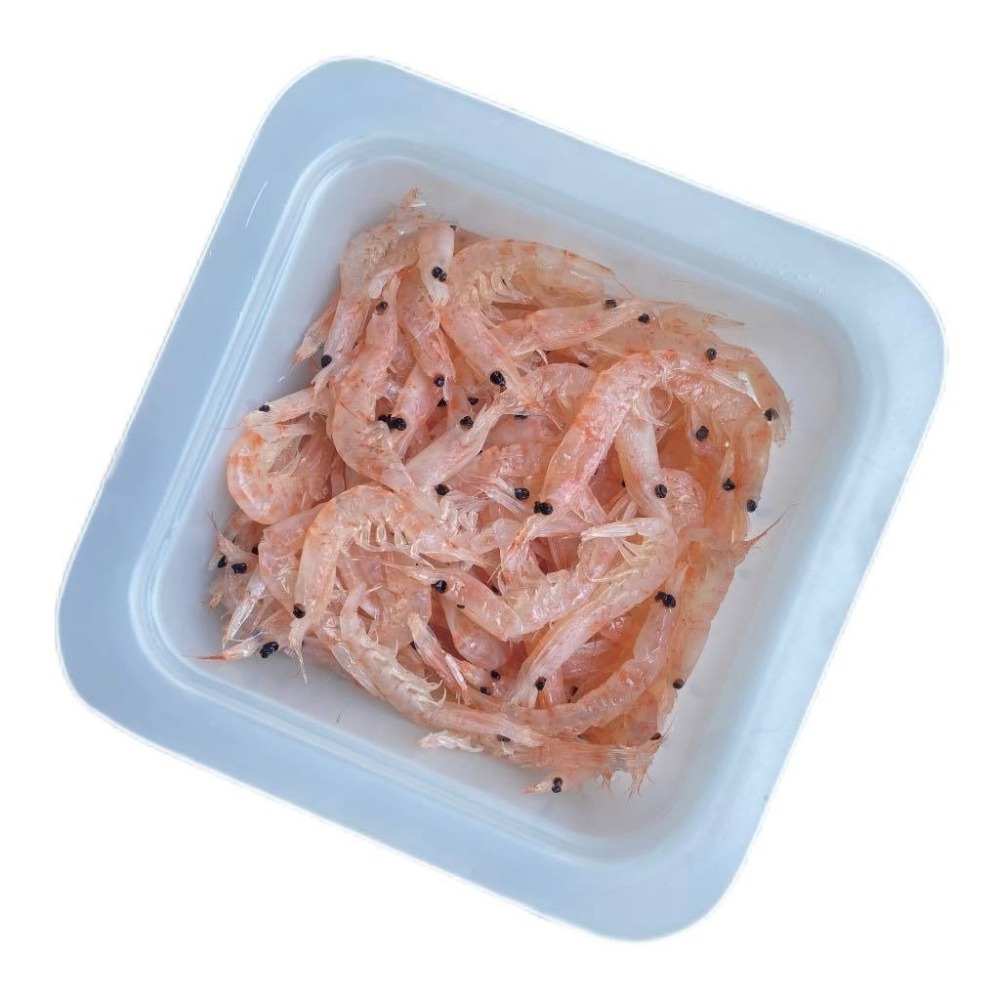 2L 南極蝦 千又 不凍蝦 盒裝 冷凍 魚餌 釣餌-細節圖2