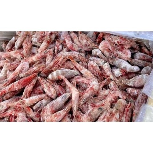 鑫牌 一台斤裝 火燒蝦 厚殼蝦 帶殼火燒蝦 釣餌 冷凍餌 敲底 船釣 磯釣-細節圖2