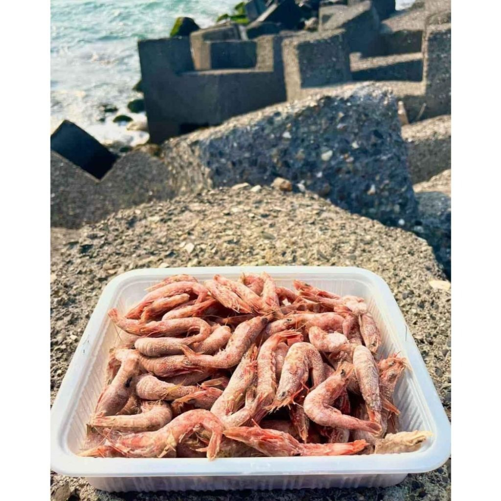 鑫牌 一台斤裝 火燒蝦 厚殼蝦 帶殼火燒蝦 釣餌 冷凍餌 敲底 船釣 磯釣-細節圖3