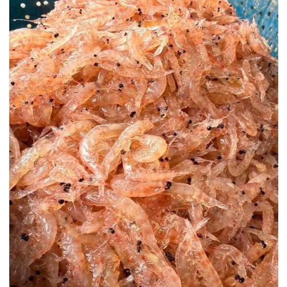 鑫牌 不凍蝦 不凍南極蝦 南極蝦 磯釣 海釣 釣餌-細節圖2