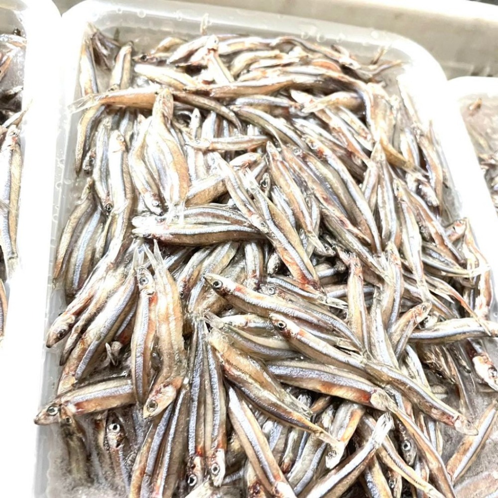 誘餌專用 丁香魚 誘餌 魚餌 1KG 誘餌丁香魚 小丁香魚-細節圖2