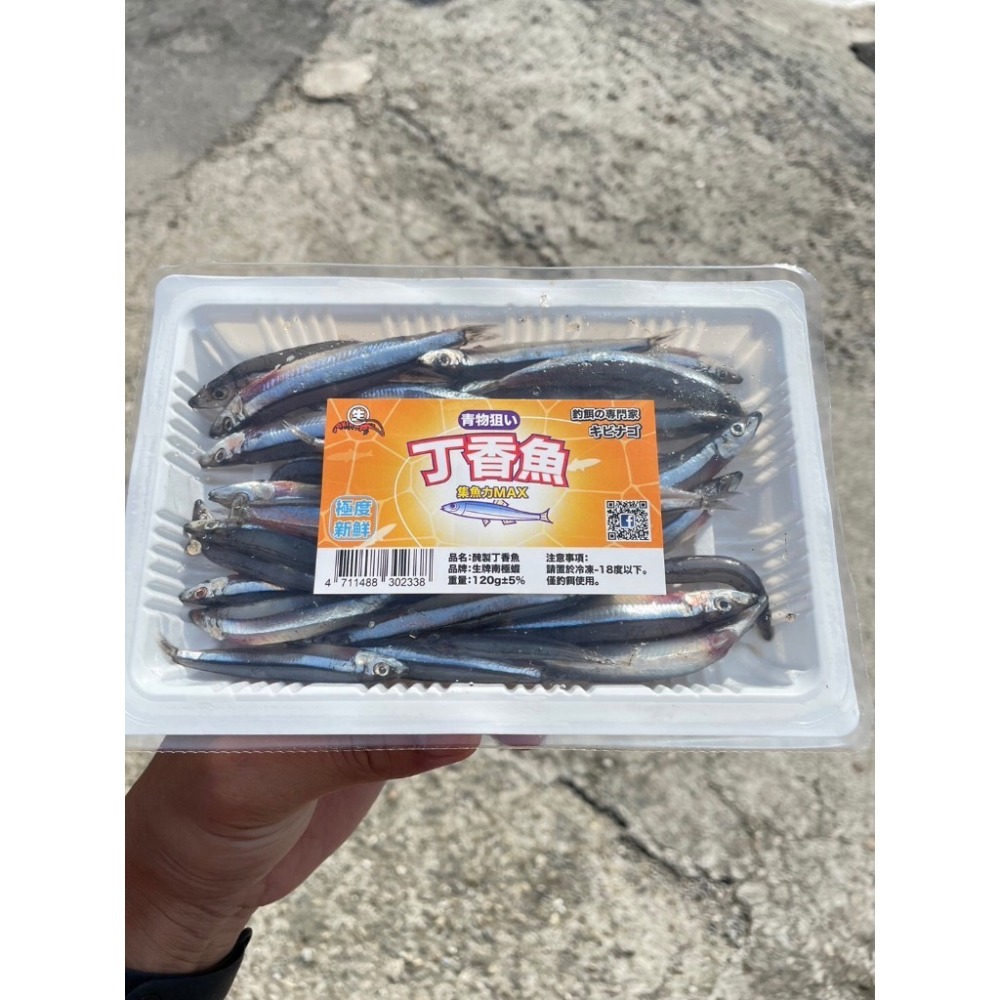 丁香魚 釣餌 釣魚餌料 冷凍丁香魚 冷凍釣餌 丁香-細節圖4