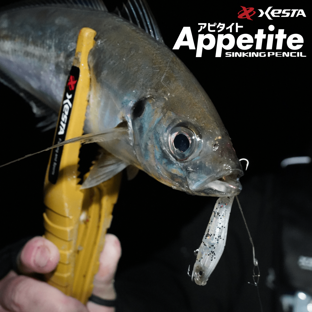 XESTA Appetite 沉水路亞 60mm 路亞 岸拋 假餌-細節圖2