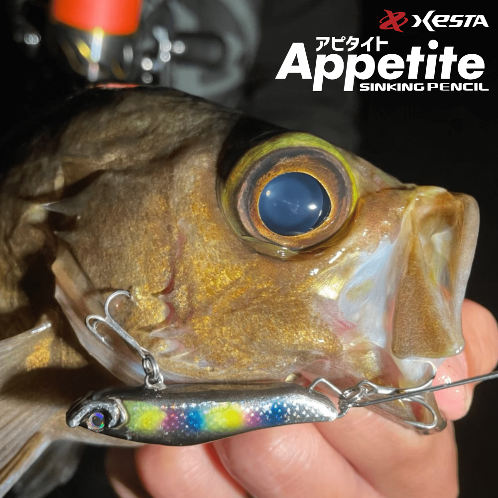 XESTA Appetite 沉水路亞 60mm 路亞 岸拋 假餌-細節圖3