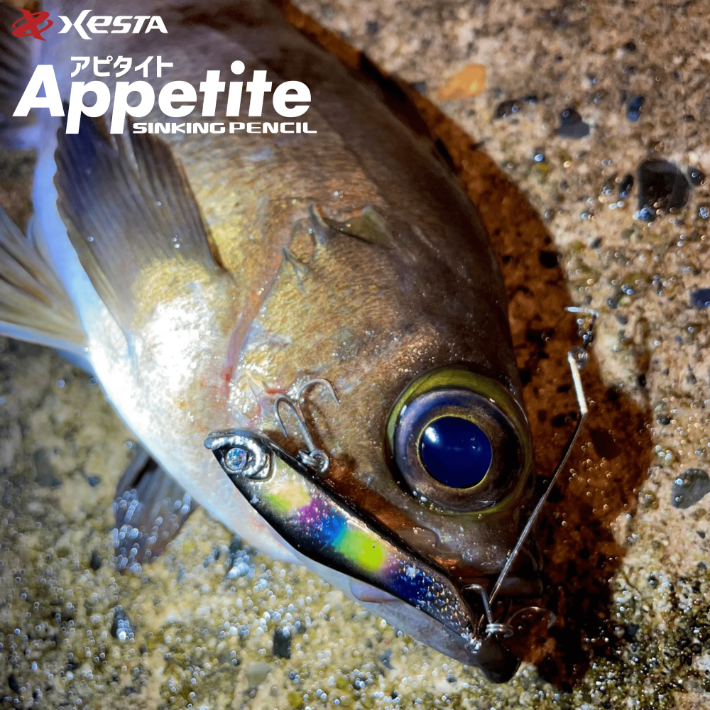 XESTA Appetite 沉水路亞 60mm 路亞 岸拋 假餌-細節圖4