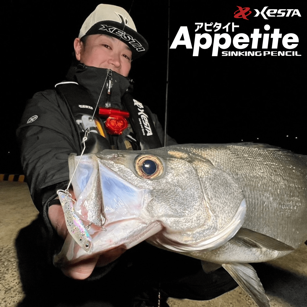 XESTA Appetite 沉水路亞 60mm 路亞 岸拋 假餌-細節圖6