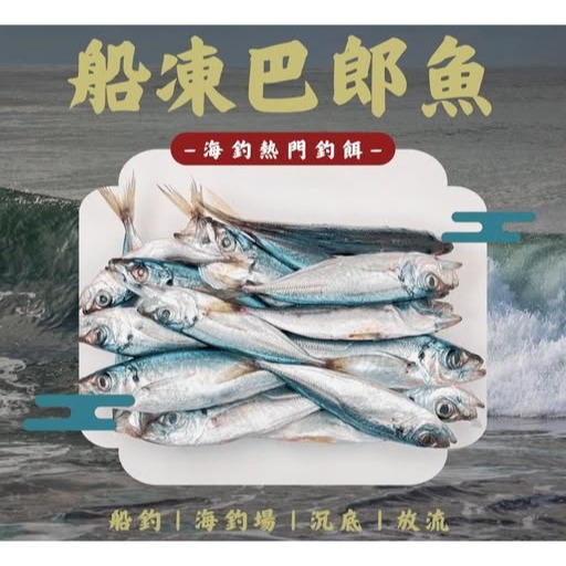 船凍巴龍 竹筴魚 冷凍釣餌 海釣場釣餌 魚餌 大物餌-細節圖2