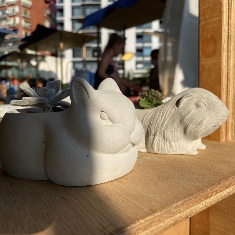 憤怒小兔手作水泥盆栽【河狸造物】多肉植物 植栽 景觀 花藝 手工 花盆 水泥盆 園藝 觀葉 療育裝飾 禮品-細節圖2