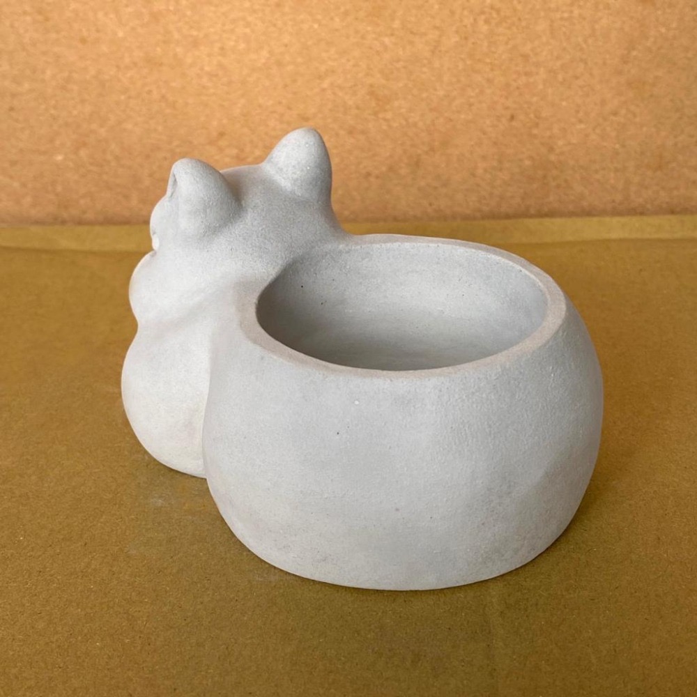 憤怒小兔手作水泥盆栽【河狸造物】多肉植物 植栽 景觀 花藝 手工 花盆 水泥盆 園藝 觀葉 療育裝飾 禮品-細節圖5