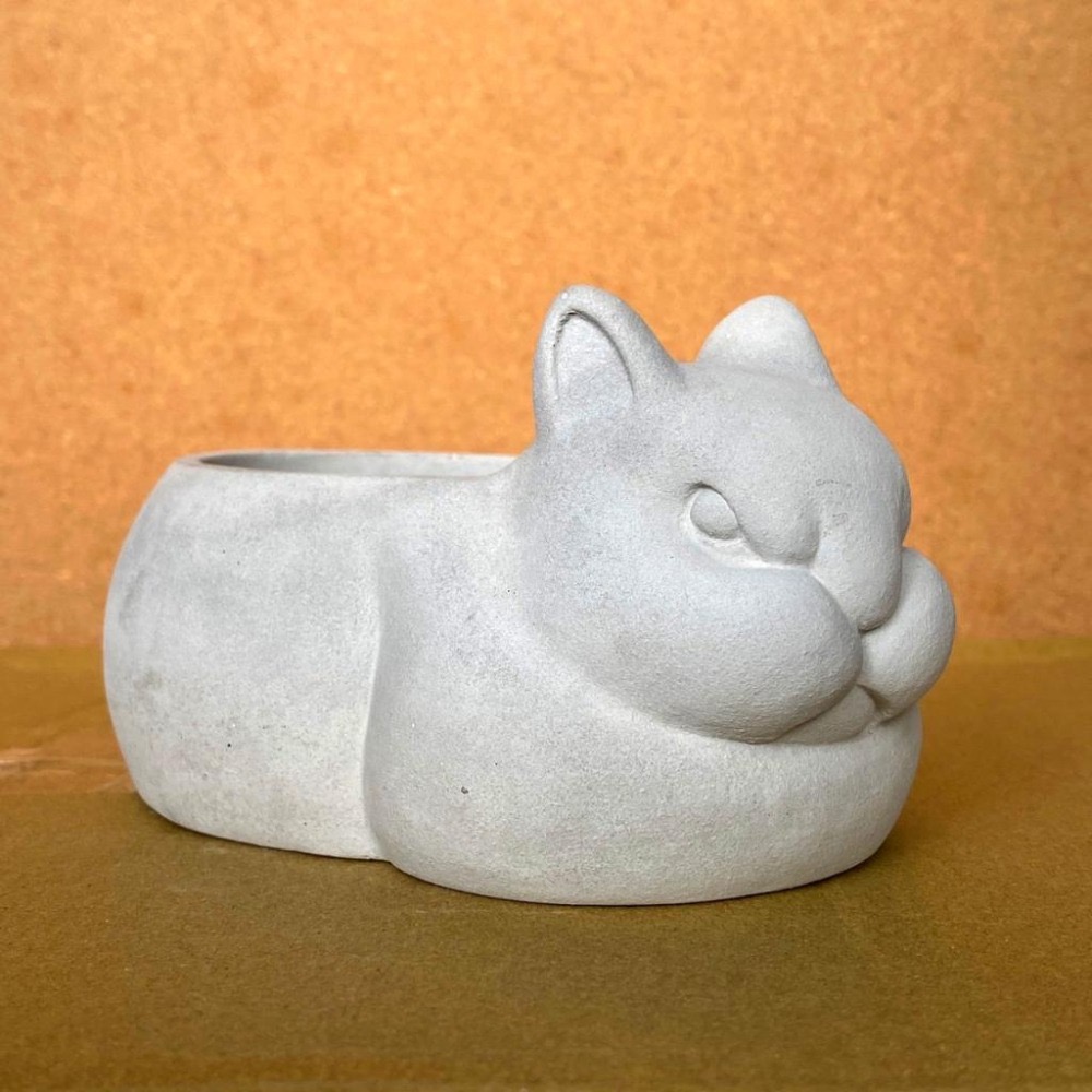 憤怒小兔手作水泥盆栽【河狸造物】多肉植物 植栽 景觀 花藝 手工 花盆 水泥盆 園藝 觀葉 療育裝飾 禮品-細節圖6