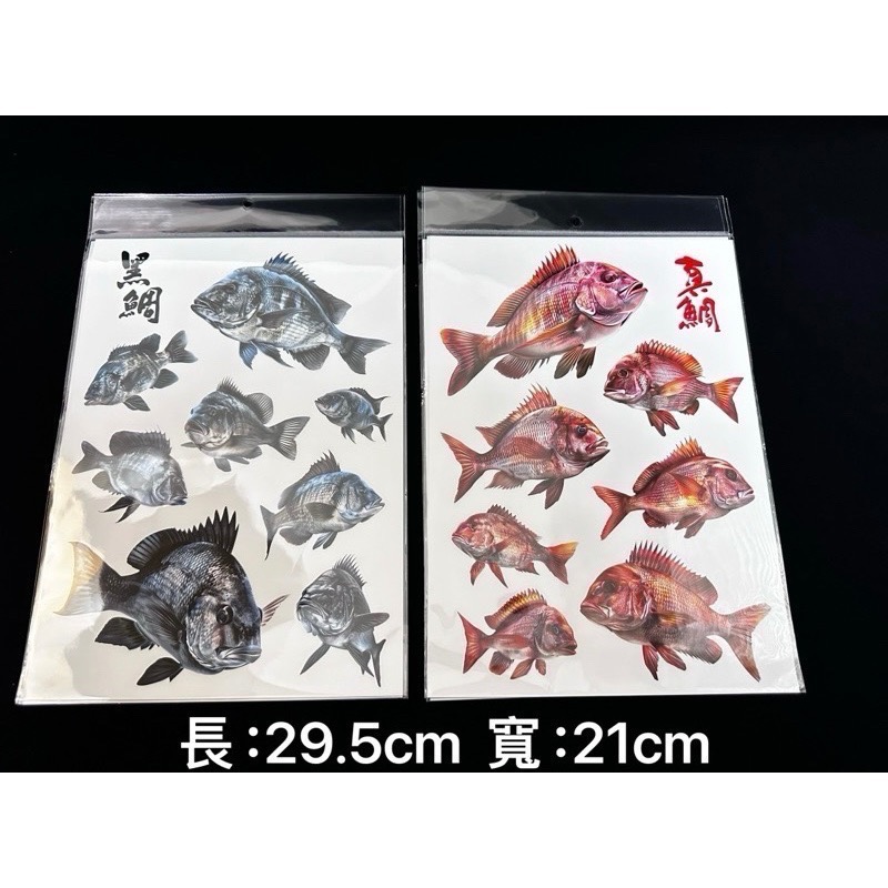 🎣🎣【 頭城東區釣具 】原創手繪貼紙 黑鯛 真鯛 巨型黑鯛 巨型海鱸 真鯛 冰箱 工具箱 裝飾 魚類 防水貼紙-細節圖5