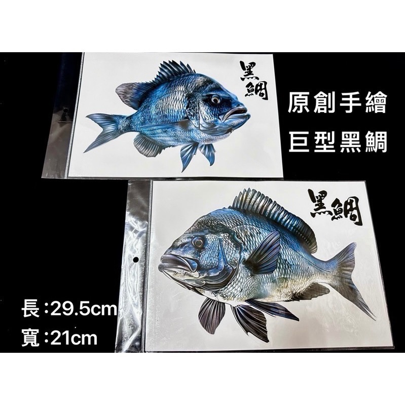 🎣🎣【 頭城東區釣具 】原創手繪貼紙 黑鯛 真鯛 巨型黑鯛 巨型海鱸 真鯛 冰箱 工具箱 裝飾 魚類 防水貼紙-細節圖6