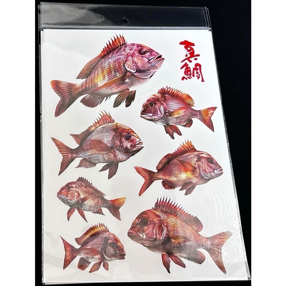 🎣🎣【 頭城東區釣具 】原創手繪貼紙 黑鯛 真鯛 巨型黑鯛 巨型海鱸 真鯛 冰箱 工具箱 裝飾 魚類 防水貼紙-規格圖11