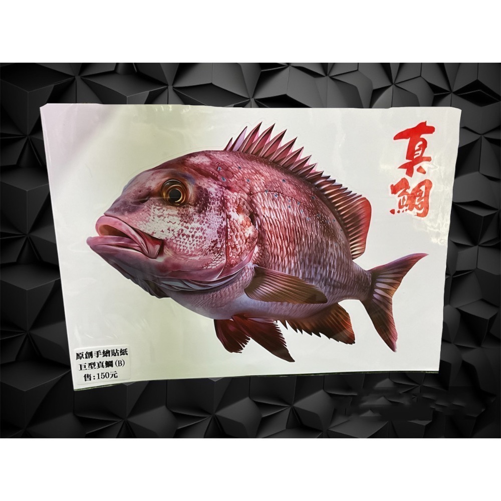 🎣🎣【 頭城東區釣具 】原創手繪貼紙 黑鯛 真鯛 巨型黑鯛 巨型海鱸 真鯛 冰箱 工具箱 裝飾 魚類 防水貼紙-規格圖11