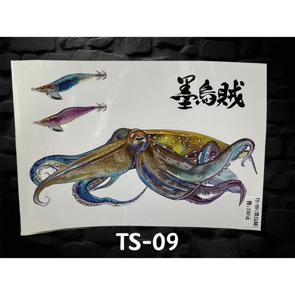 TS-09墨烏賊