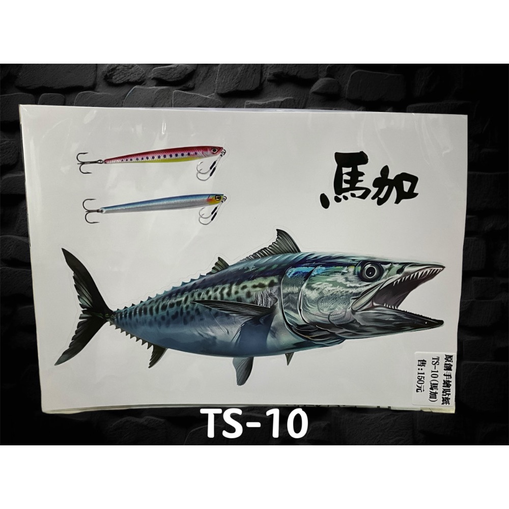 🎣🎣【 頭城東區釣具 】原創手繪貼紙 黑鯛 真鯛 巨型黑鯛 巨型海鱸 真鯛 冰箱 工具箱 裝飾 魚類 防水貼紙-規格圖11