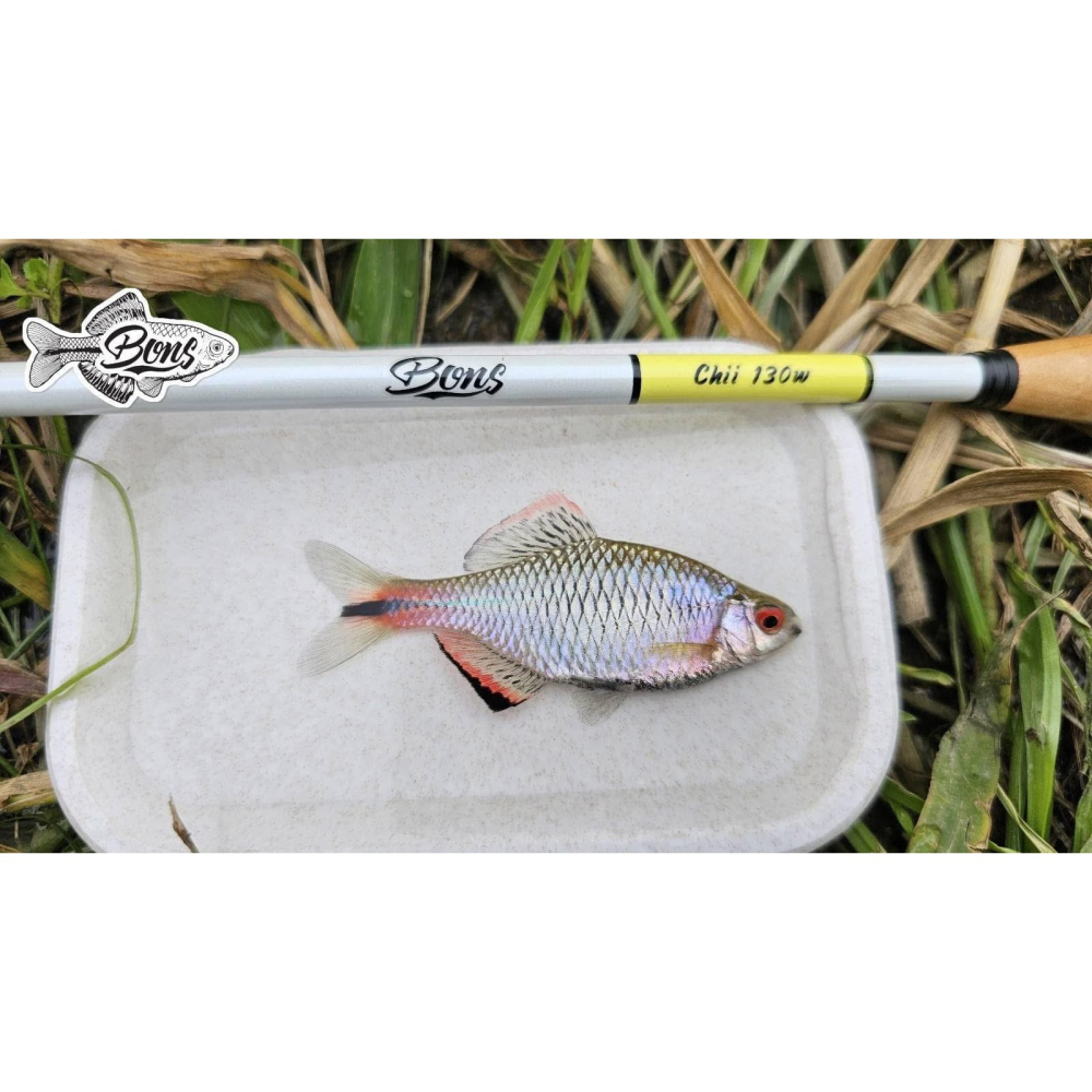 🎣🎣【 頭城東區釣具 】Bons 齊氏小物釣竿套組-細節圖8