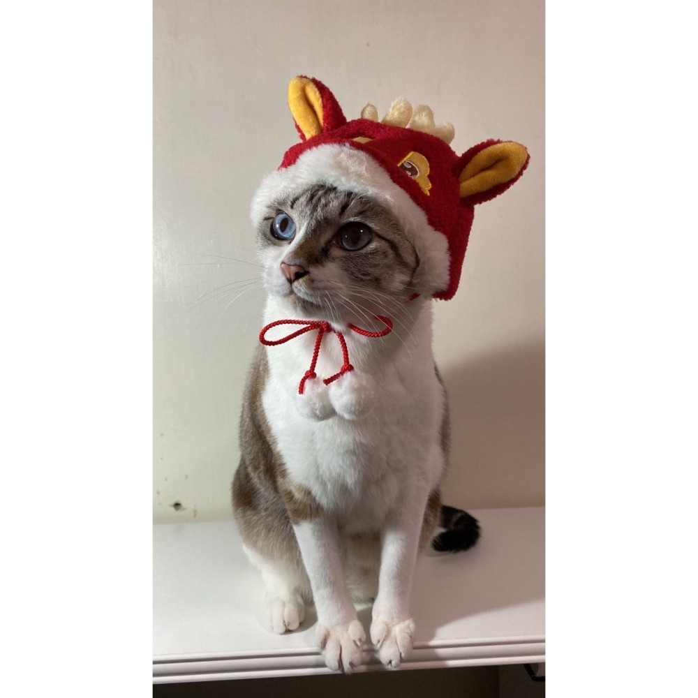 [怪獸經紀人] 寵物龍年帽🐱🐶-細節圖2