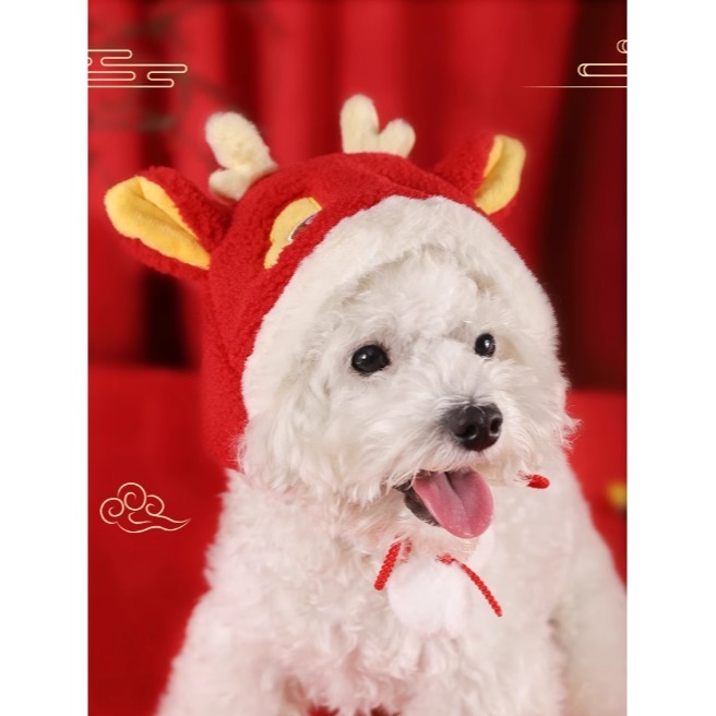 [怪獸經紀人] 寵物龍年帽🐱🐶-細節圖3
