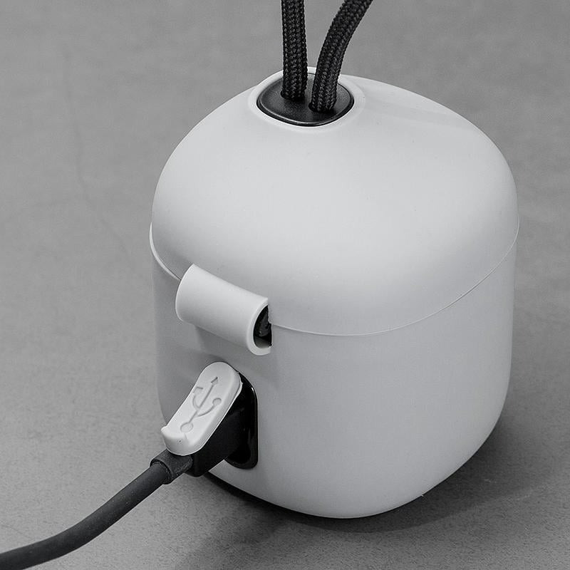 三重☆大人氣☆TELESIN 副廠 GoPro HERO 6 7 8 附吊繩 收納盒 充電器+全解碼副廠電池x1-細節圖4