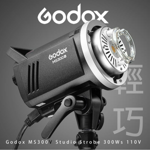 ☆大人氣☆公司貨 Godox 神牛 MS300-V LED模擬燈 300W 棚燈 閃光燈 (110V) MS300V