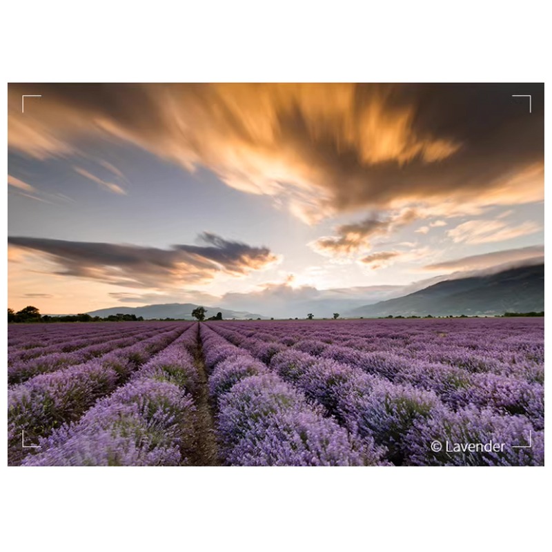 三重☆大人氣☆ NISI 耐司 NC RGND8 反向 漸層灰 螺紋 圓型 濾鏡 NC R-GND8-細節圖7