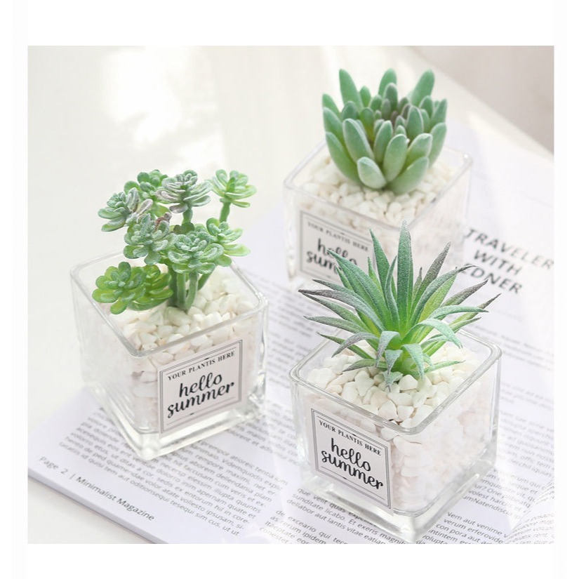 仿真多肉仙人掌創意盆栽裝飾綠色假花辦公室桌面小擺件-細節圖3
