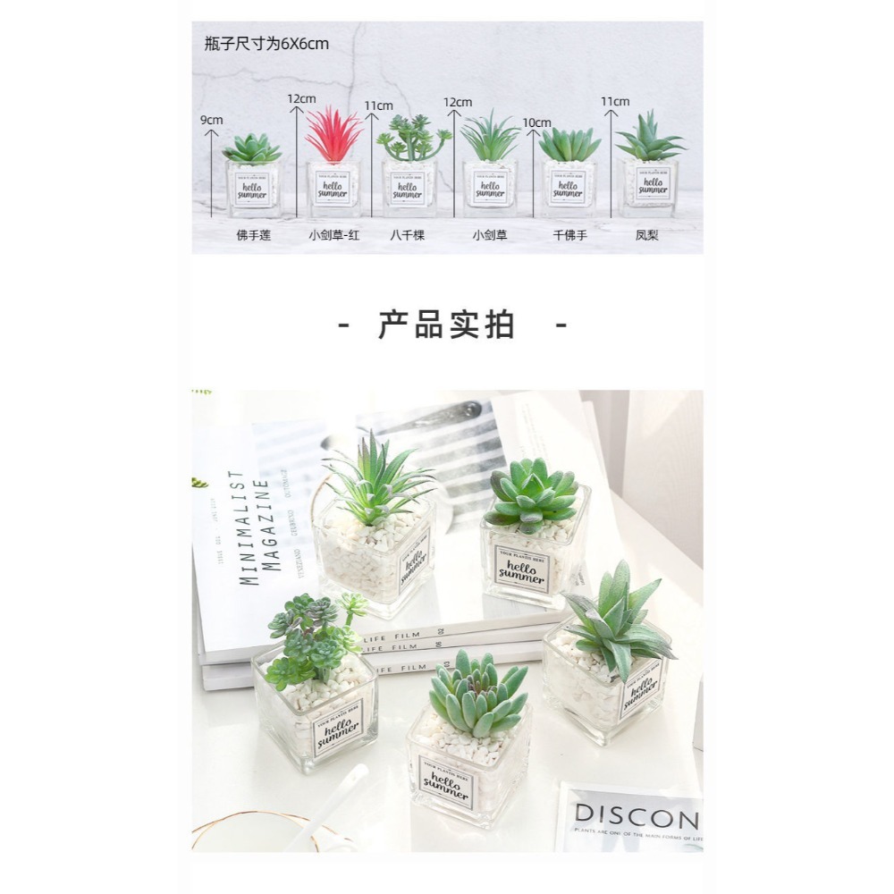 仿真多肉仙人掌創意盆栽裝飾綠色假花辦公室桌面小擺件-細節圖4